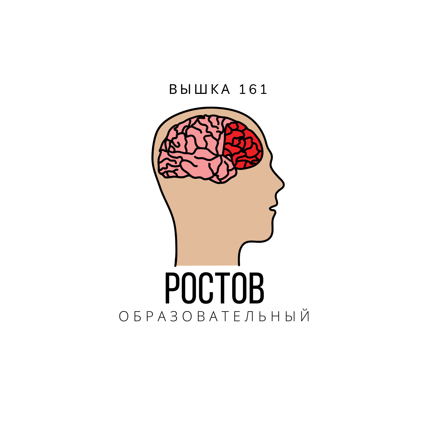 Информационный проект «Образование в Ростове»